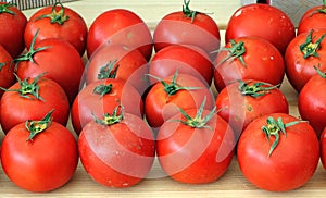Fresh Garden Tomatoes