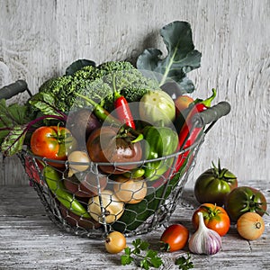 Fresh garden vegetables - broccoli, zucchini, eggplant, peppers, beets, tomatoes, onions, garlic - vintage metal basket