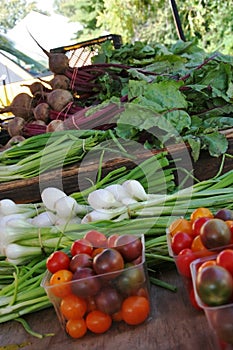 Fresh garden vegetables at a farmers market stand