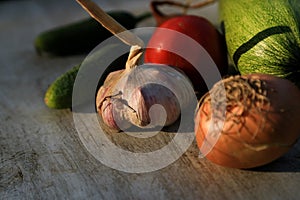 Fresh garden vegetables - garlic, onion, zucchini, tomatoes, cucumber on a light wooden background