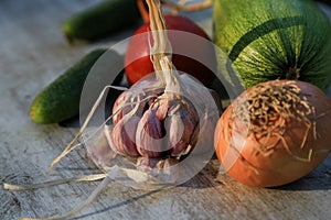 Fresh garden vegetables - garlic, onion, zucchini, tomatoes, cucumber on a light wooden background