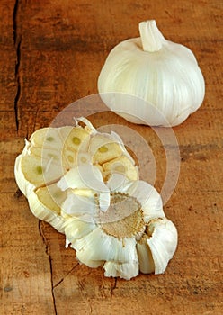 Fresh Garlic