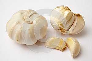 Fresh garlic