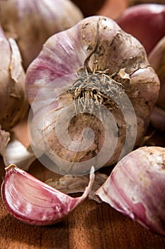 Fresh garlic