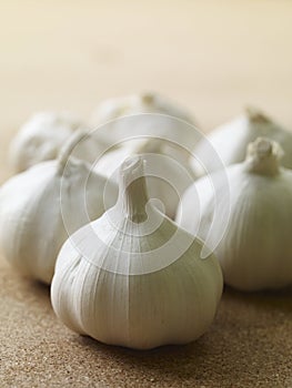 Fresh garlic