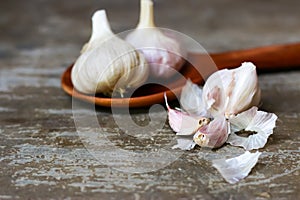 Fresh Garlic bulb, the raw garlic on the wooden background.