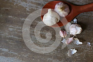 Fresh Garlic bulb, the raw garlic on the wooden background.