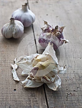 Fresh garlic bulbs