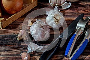 Fresh garlic bulbs and a garlic press on an old wooden board and a burlap backing