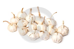 Fresh garlic bulbs