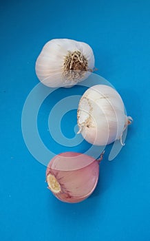 Fresh garlic bulbs over blue background. Organic and healthy.