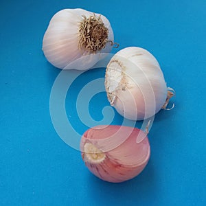 Fresh garlic bulbs over blue background. Organic and healthy.