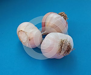 Fresh garlic bulbs over blue background. Organic and healthy.