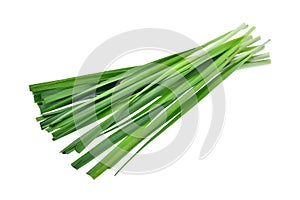 Fresh garlic chives vegetableon isoalted on white background photo