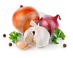 Fresh garlic fruits with green parsley