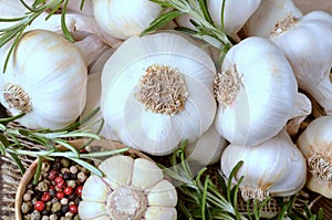 Fresh garlic heads close up. Healthy food ingredient. traditional seasoning for cooking. Green spices and