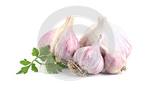 Fresh garlic heads and parsley isolated on white