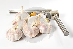 Fresh Garlic isolated on white background close-up. Fresh garlic with metal garlic extruder, press