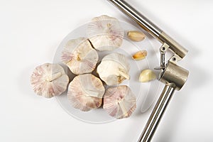 Fresh Garlic isolated on white background close-up. Fresh garlic with metal garlic extruder, press