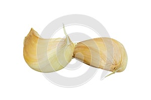 Fresh garlic isolated on white background,Food and healty concept