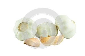 Fresh garlic isolated on white background,Food and healty concept