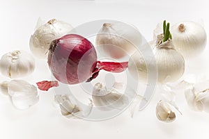 Art composition with fresh garlic and red and white onions on white