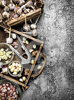 Fresh garlic with a press tool on a wooden tray.