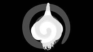 Fresh garlic spin and float - isolated with alpha channel