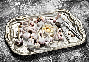 Fresh garlic on a steel tray with a press tool.