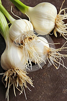 Fresh garlic with stem from kitchen garden