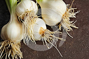 Fresh garlic with stem from kitchen garden