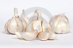 Fresh garlic  on white background