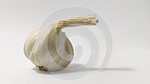 fresh garlic on a white  surface
