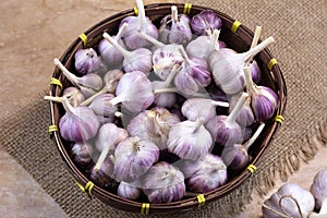 Fresh garlic in a wicker basket on a wooden background. Healthy eating concept. Natural antibiotic