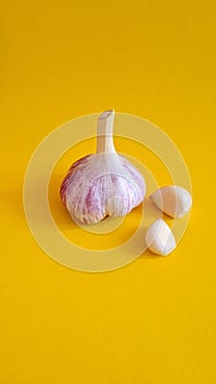 Fresh garlic on a yellow background.