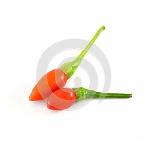 Fresh generate of chilli isolate on white background