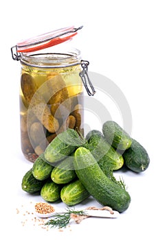 Fresh gherkin
