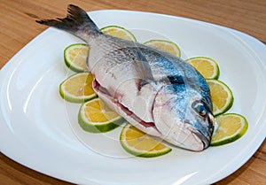 Fresh gilthead fish on plate photo