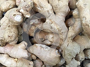 Fresh Ginger