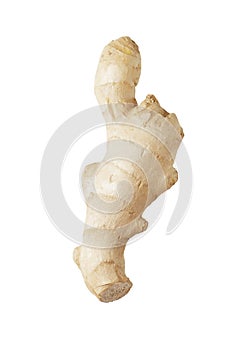 Fresh ginger isolated on white