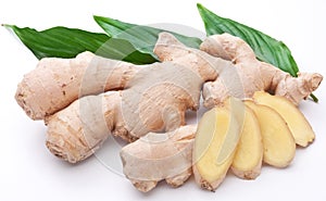 Fresh ginger with leaves.
