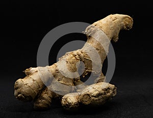 Fresh ginger rhizome isolated on Black background.