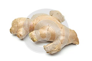 Fresh Ginger rhizome root