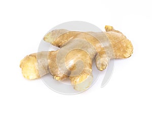 Fresh ginger root  islolated on white background for herb and medical product concept