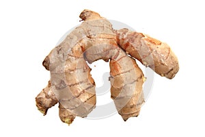 Fresh ginger root isolated
