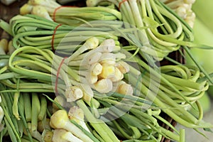 Fresh ginger root in the market