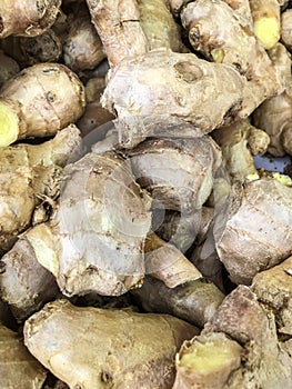 Fresh Ginger root at the market
