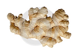Fresh ginger root, rhizome from above, isolated over white background