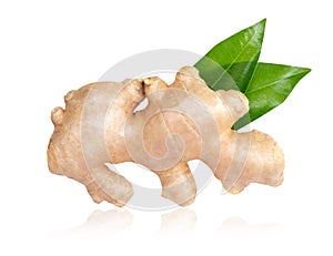 Fresh ginger root with sliced islolated on white background for herb and medical product concept