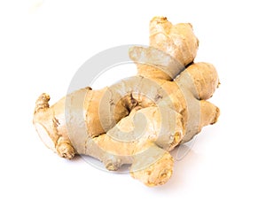 Fresh ginger root on white background for herb and medical product concept